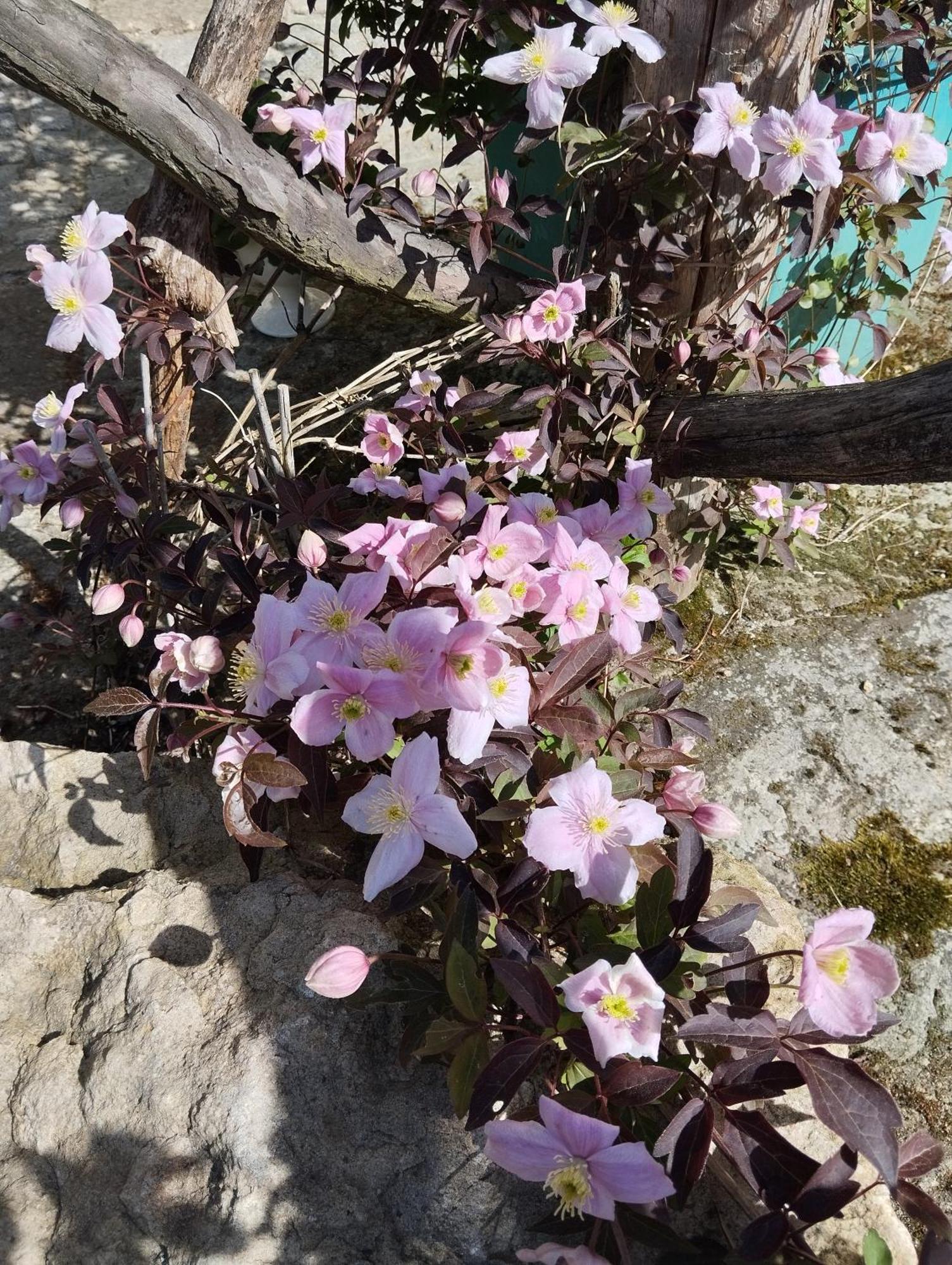 Forellenwasser Rosenthal-Bielatal Екстер'єр фото